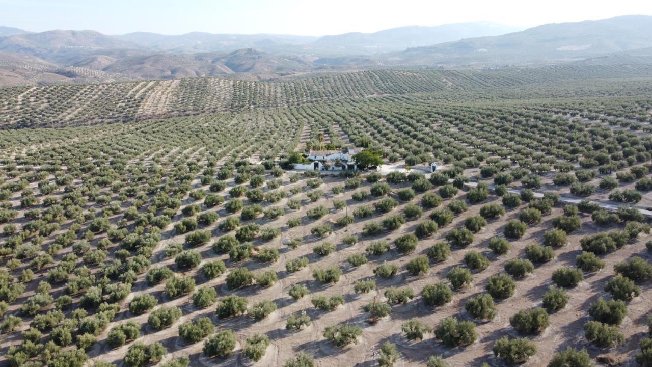 Casa De Familia Cortijo La Cubertilla Fuente-Tojar Екстер'єр фото